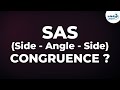 Triangle Congruence and Properties