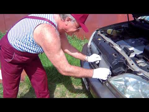 Lexus RX 300 - защитная сетка радиатора.