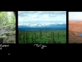 Biomes and Their Characteristics