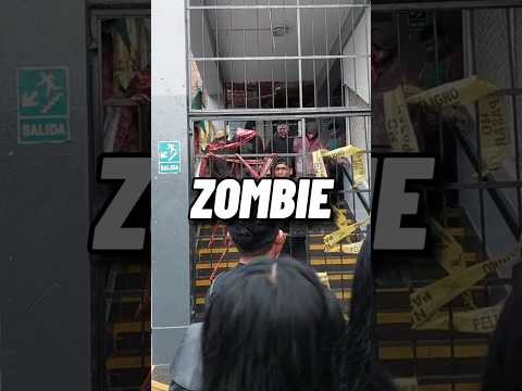 Imagina que hay un apocalipsis zombie… ¿a quien salvarías?