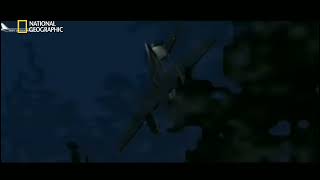Air Tindi Flight 503 - Crash Animation