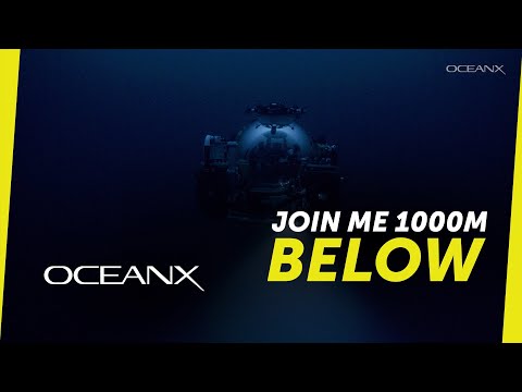 How These Subs Are Saving the Ocean