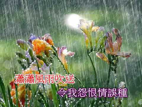 細雨憶當年 (粵語) (濛濛細雨憶當年)(音樂伴奏)(懷舊金曲)