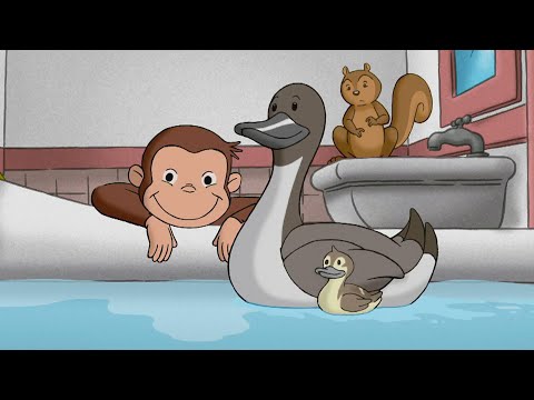 A Poça para Patos do George 🐵 George, o Curioso 🐵 Desenhos Animados