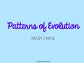 Evolutionary Patterns and Processes