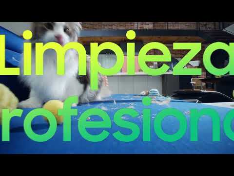 Aspiradora Jet 85 Pet: Limpieza pet-friendly con hasta 210 AW de succión  | Samsung