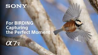 Alpha 7 V for Birding | Capturing the Perfect Moment | Sony | α