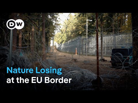 YouTube video thumbnail: Poland's EU Border: A Threat to Nature and People