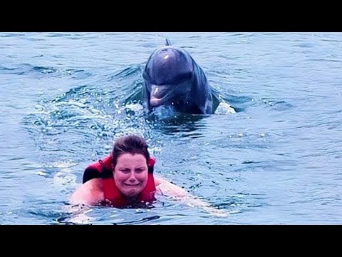 If These Animal Moments Were Not Filmed, No One Would Have Believed Them