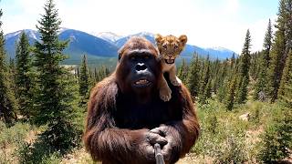 Bigfoot Vlog - Going Fishing With a Stray Lion Cub