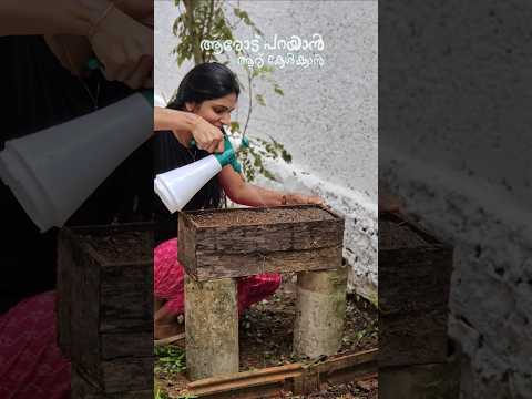 ചെയ്യാൻ ഉള്ളത് ഞാന്‍ ചെയ്തിട്ടുണ്ട്😇🤪🫣#corianderleaf#vegitables #naturelovers