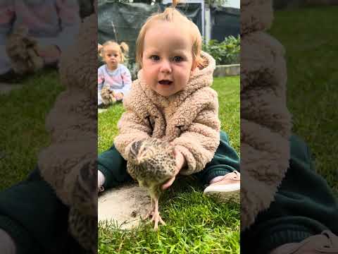 Baby's reaction to touching bird for the first time.