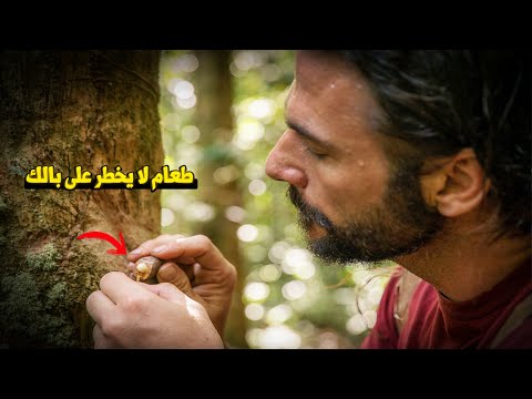 الفيلم الوثائقي الرهيب العيش في البرية: لن تصدق ما تأكله هذه القبيلة للبقاء على قيد الحياة!