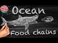 Ocean Ecosystem Food Web Concepts