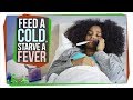 Understanding 'Feed a Cold, Starve a Fever'