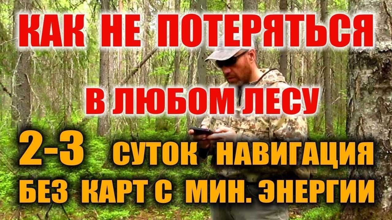 Gps трекер навигатор навигация. Как не заблудиться в лесу без карт в навигаторе.