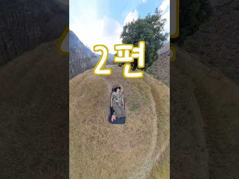 평화롭다.. #shorts #강아지 #여행