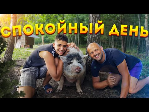 День без строительства. Год назад мы подметали веником и мылись в тазике. А теперь у нас 3 пылесоса