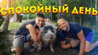 видео
