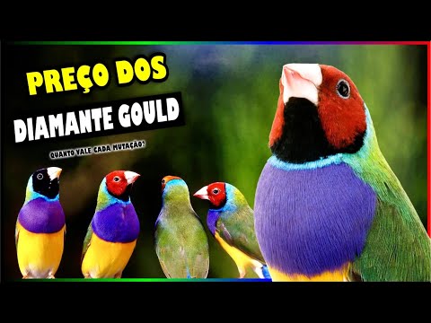 DIAMANTE DE GOULD - PREÇO DE CADA MUTAÇÃO! (QUANTO VALE?)