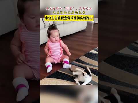 cute baby,try not to laugh❤️寶寶與小貓咪的緊張又溫馨時刻。寶寶與小貓咪“打”起來啦😂點到為止，佔了便宜就跑。好溫馨又有愛的場面😊 #嬰兒 #貓咪 #cutecat