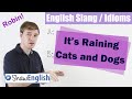 Understanding Idioms and Puns