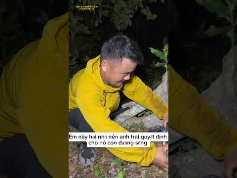 Cua côn trùng nướng muối ớt #shorts #tiktok