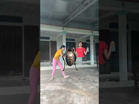 Hand, tiger, ostrich help Hana when being teased by bees and Pacman