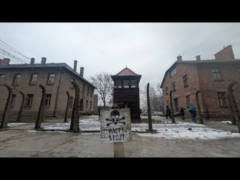 Walking Through Auschwitz: A Solemn Journey Through History #history #Auschwitz