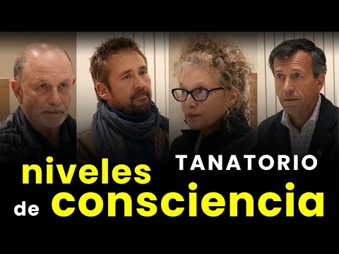 Los Niveles de Consciencia que Debes Conocer para Evolucionar