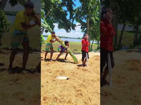 পিছে দেখো #funny #comedyfilms