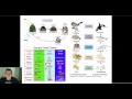 Energy Flow and Trophic Levels