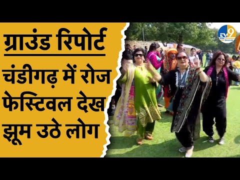 Chandigarh में Rose Festival का हुआ आयोजन, नांच-गाना और जमकर मस्ती कर रहे हैं लोग।Ground Report