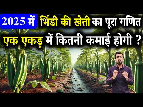 2025 में भिंडी की खेती : 1 एकड़ से कितनी होगी कमाई ? Bhindi Ki Kheti Kaise Kare| Okra Farming India