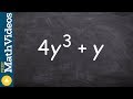 Factoring Polynomials and Expressions