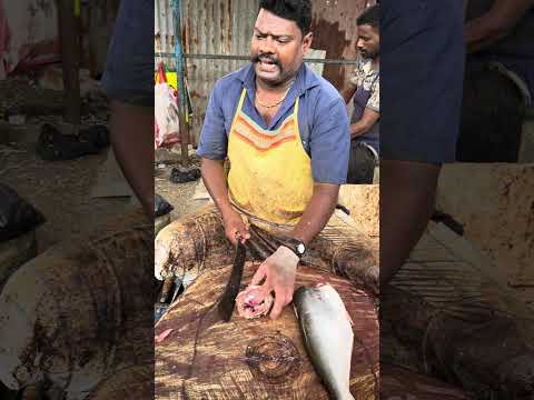 BAGGAS (a) basha fish cutting in kasimadu