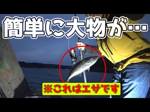 １０キロ越えの大物が釣れていたのでアジを泳がせたら…