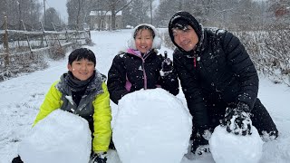 Snowy Sunday