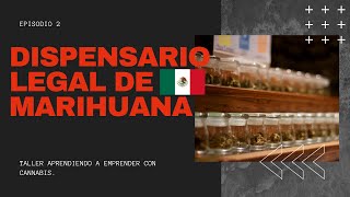 🏪 💵 Dispensario de Marihuana legal en México | Episodio 2  💵 🍯