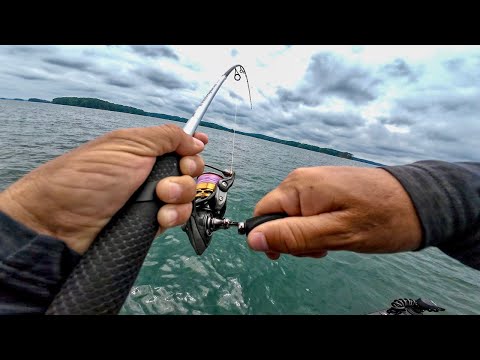 Los Mejores Señuelos De Pesca Para El Verano
