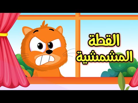 اغنية القطه المشمشيه حلوه بس شقيه | قناة مشمش للاطفال