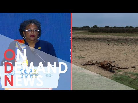 YouTube video thumbnail: Climate Crisis: Barbados PM Demands Action from the West