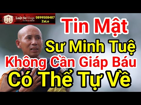 🔴 Sư Thầy Thích Minh Tuệ Nói Thẳng Điều Này Có Làm Đoàn Văn Báu Lê Khả Giáp Buồn? Luật Sư Vlogs