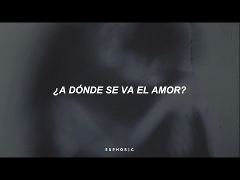 Shawn Mendes - Nobody Knows (Sub. Español)