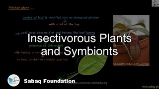 Insectivorous Plants and Symbionts
