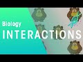 Intraspecific and Interspecific Interactions