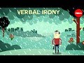 Understanding Verbal Irony and Sarcasm