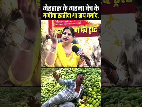 आंधी पानी ने बगीचा के मालिक को बर्बाद कर दिया 😭 !! #shorts #viral #latestnews