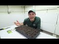 Seed Germination and Humidity Management
