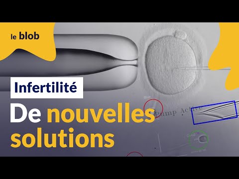 Fertiline, IA et microrobotique  : des innovations prometteuses contre l’infertilité | Reportage